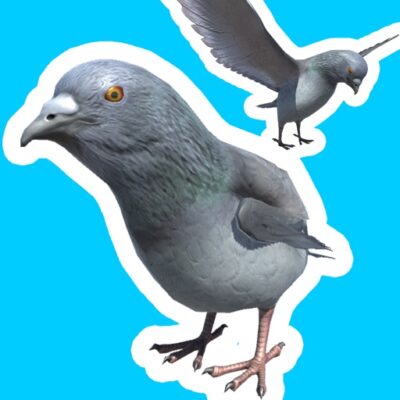 ハトジャンプ レビュー